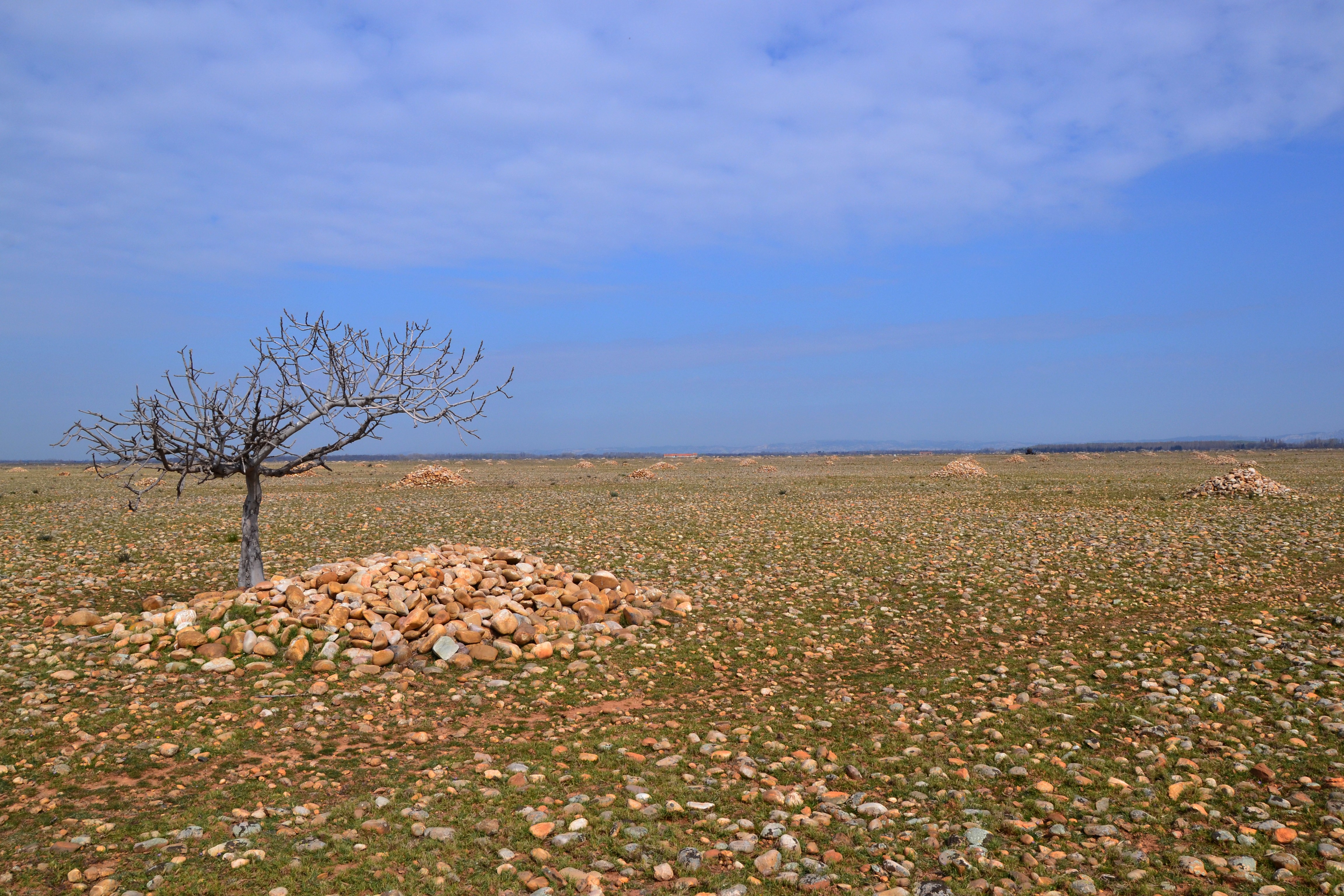 Sentier Peau de Meau, au coeur de la Réserve naturelle nationale des Coussouls de Crau, Saint-Martin-de-Crau - photo 3
