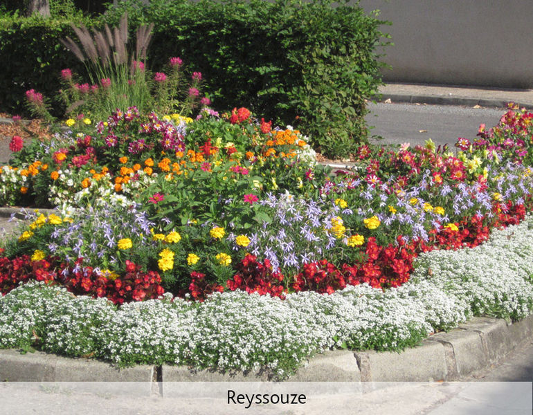 Village fleuri, Reyssouze, Route fleurie de la Haute-Bresse