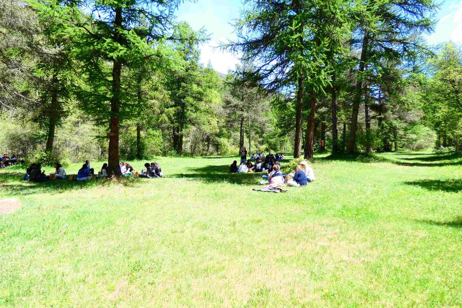 Sortie Parc - Les apéros de la Réserve au camping du Gouret_Aiguilles