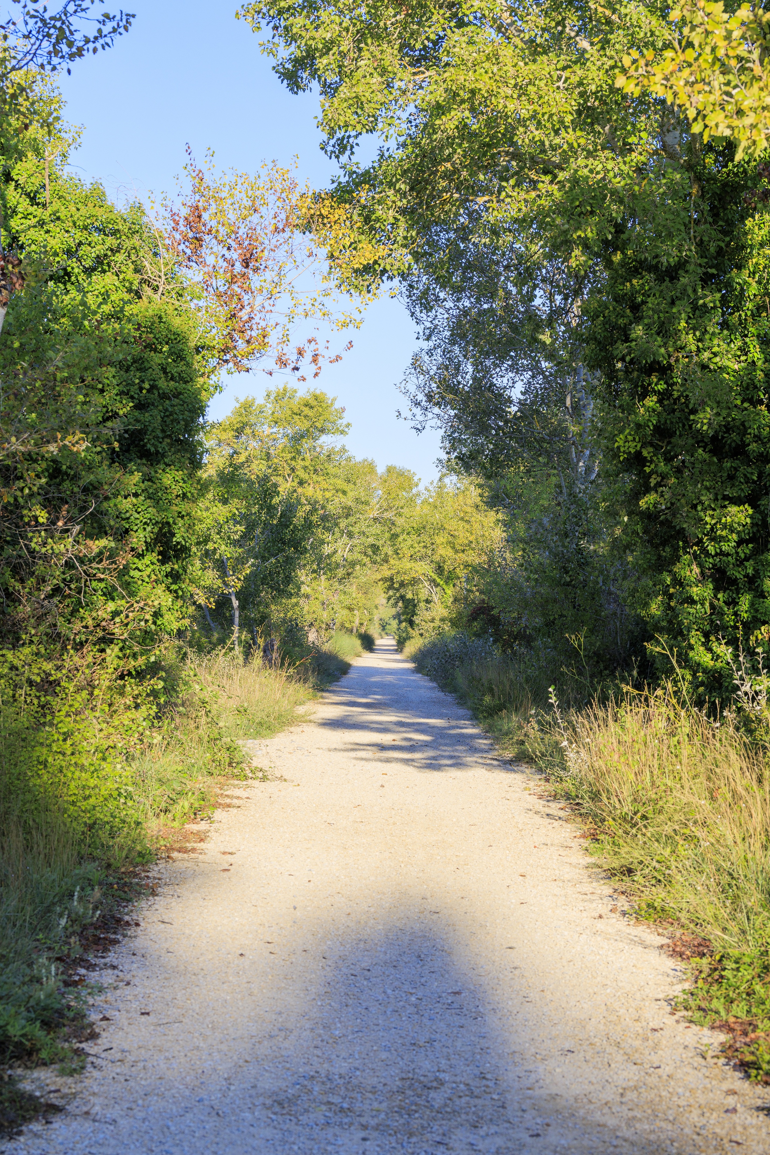 Véloroute Vers la Durance à vélo : Tronçon Pertuis - Villelaure