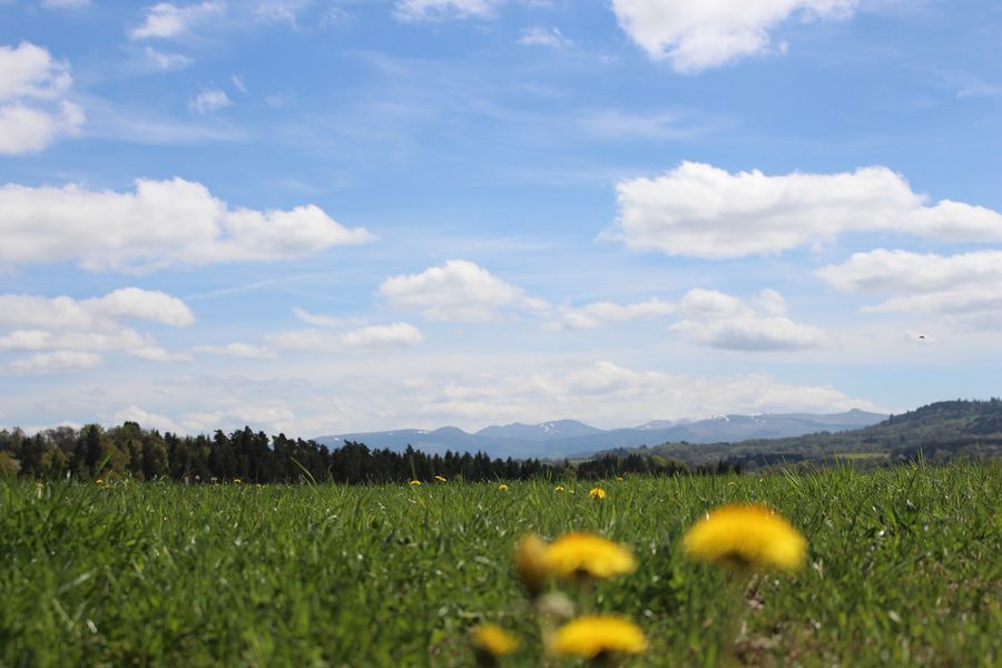 Autour de Cisternes