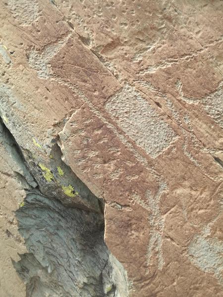 Visite guidée régulières des gravures rupestres de la vallée des Merveilles et de Fontanalba Visite guidée régulières des gravures rupestres de la vallée des Merveilles et de Fontanalba