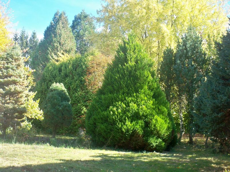 Arboretum de Haute Combraille