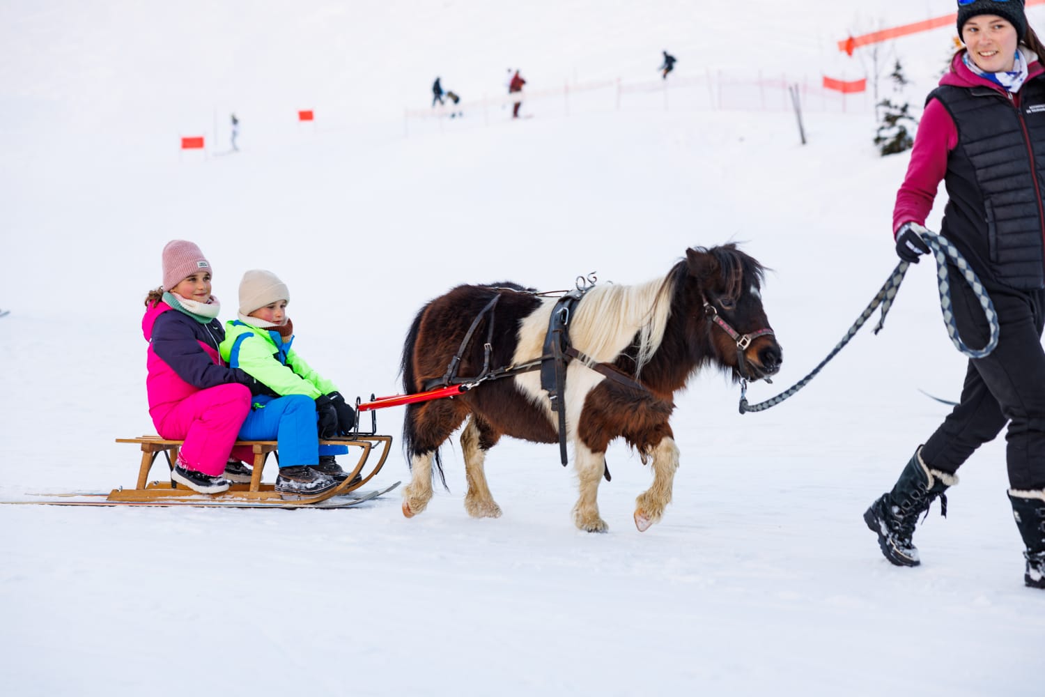 poney luge