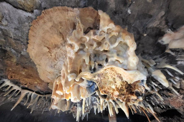 Spéléologie demi-journée - Castellet