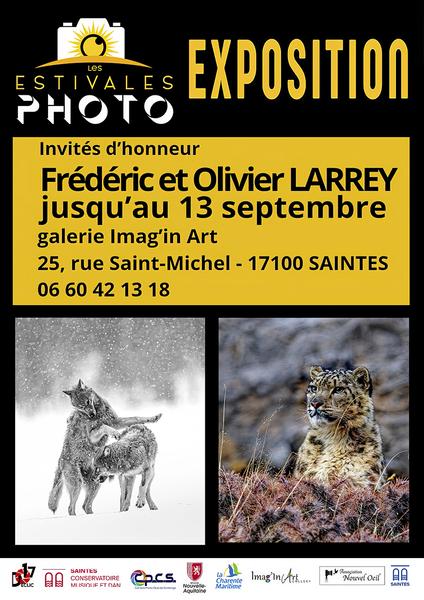 Exposition Frédéric et Olivier Larrey