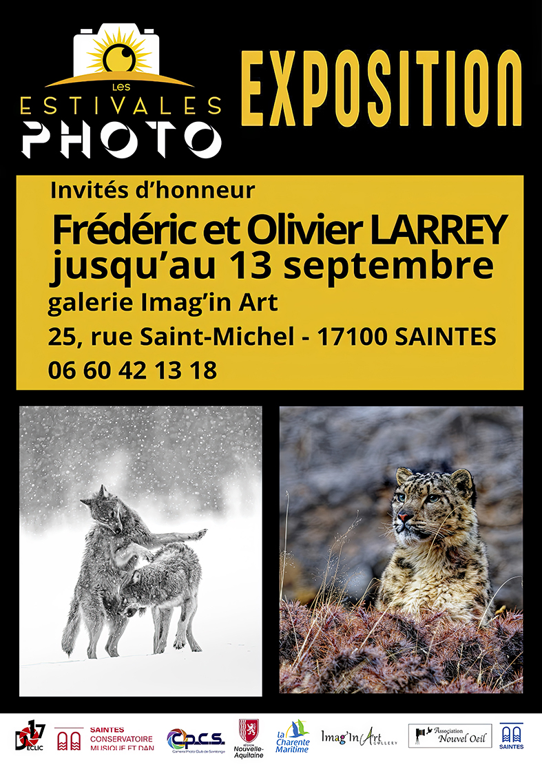 Exposition Frédéric et Olivier Larrey