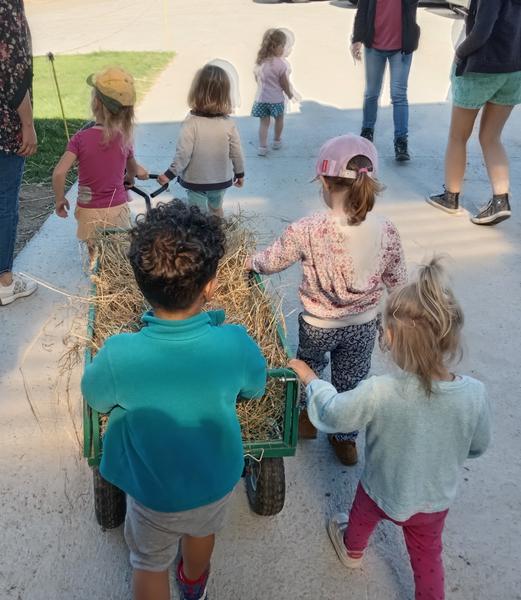 Nos p'tits fermiers en herbe