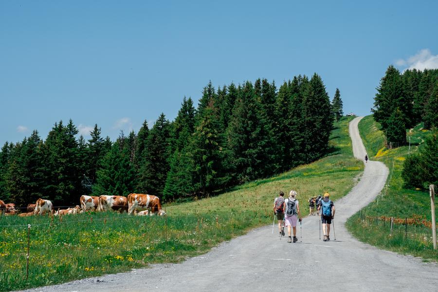 Le Mont Joly au départ du Mont d'Arbois
