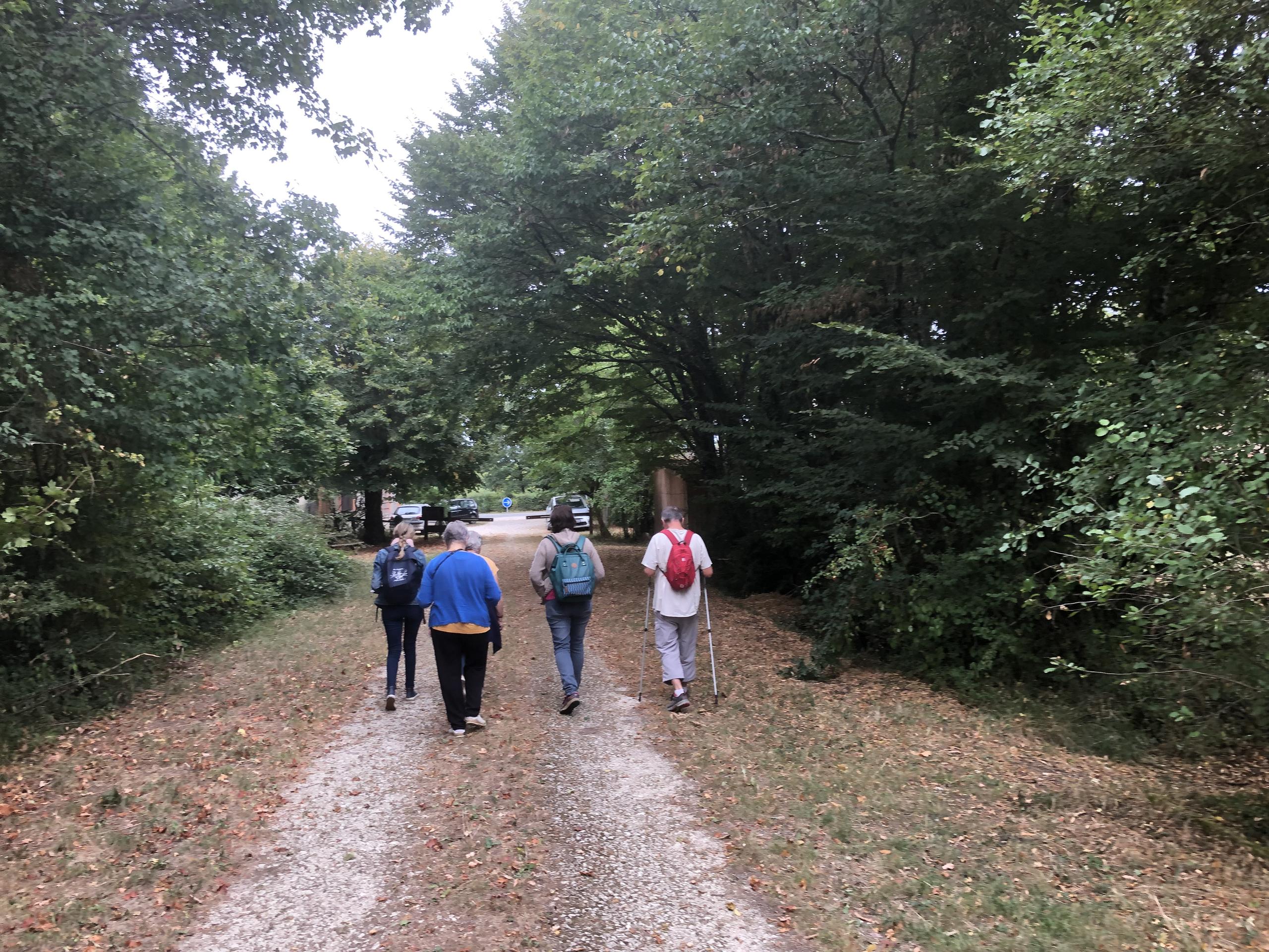 Balade en forêt d'Aulnay