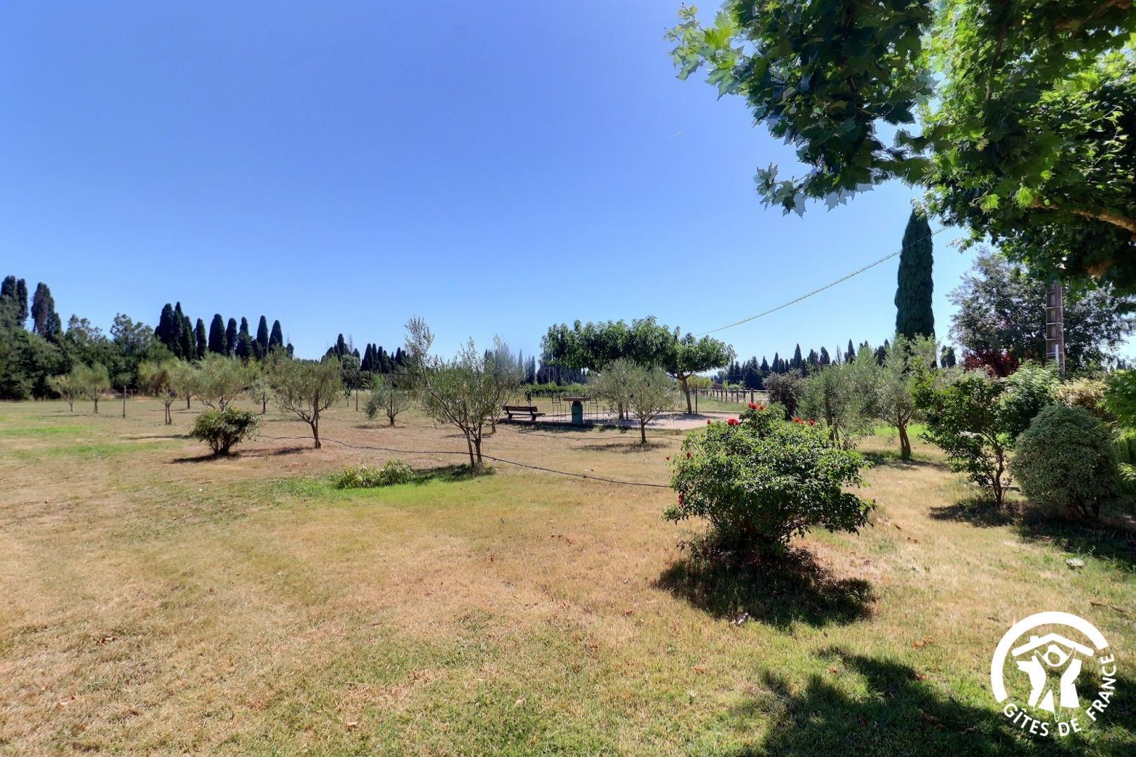 Le Mas Piquet, Plan-d'Orgon - photo 50