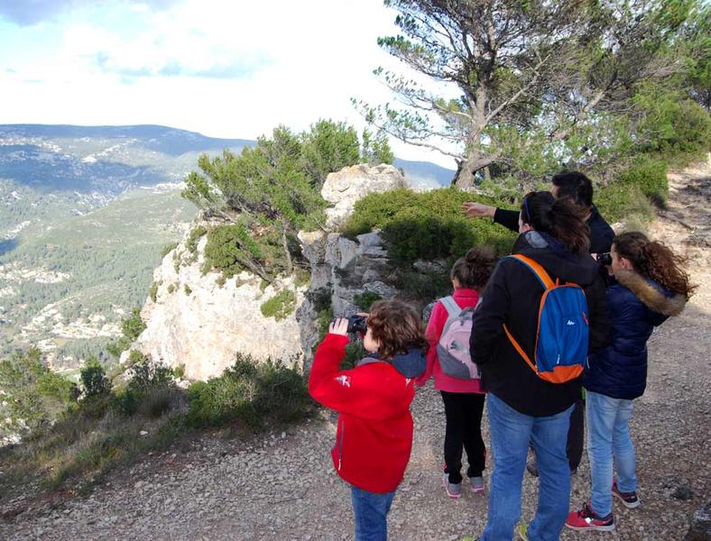 Les petits aventuriers de la forêt_Toulon