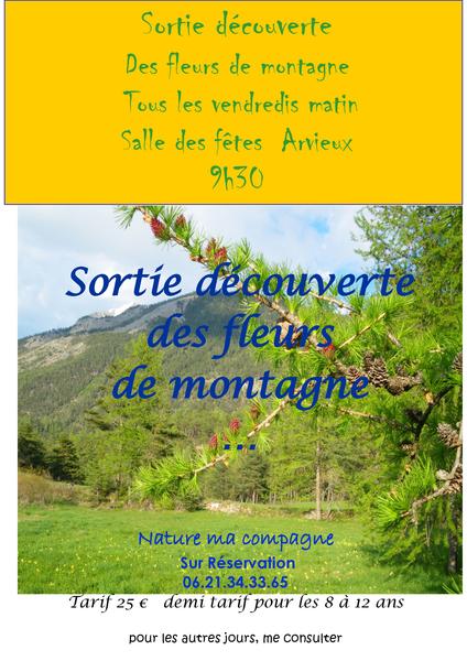 affiche - © virginie romette Sortie découverte des fleurs de montagne_Arvieux - © virginie romette