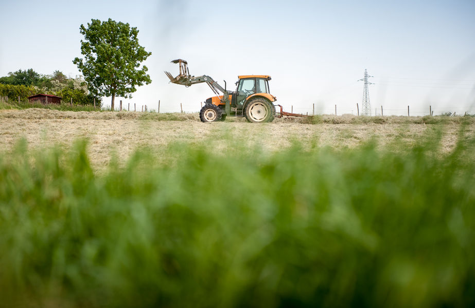 Chèvrerie du Colombier
