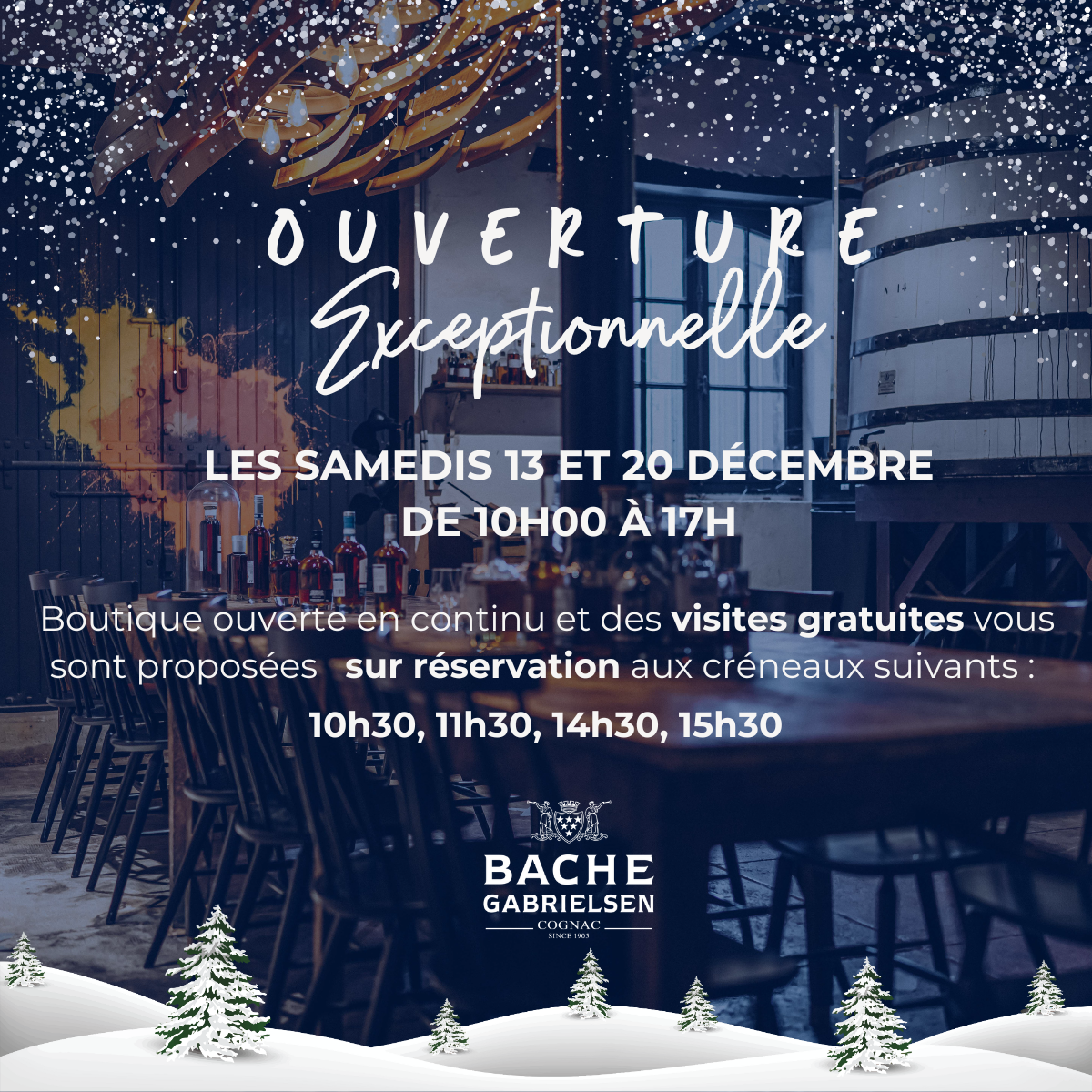 Maison Bache Gabrielsen - Ouverture exceptionnelle