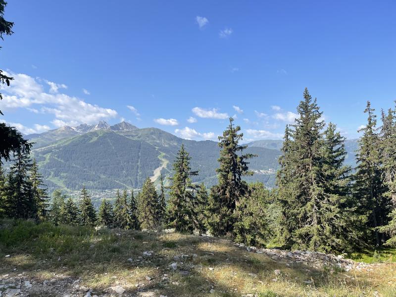 Sur le chemin en direction de Plansoie - Bozel