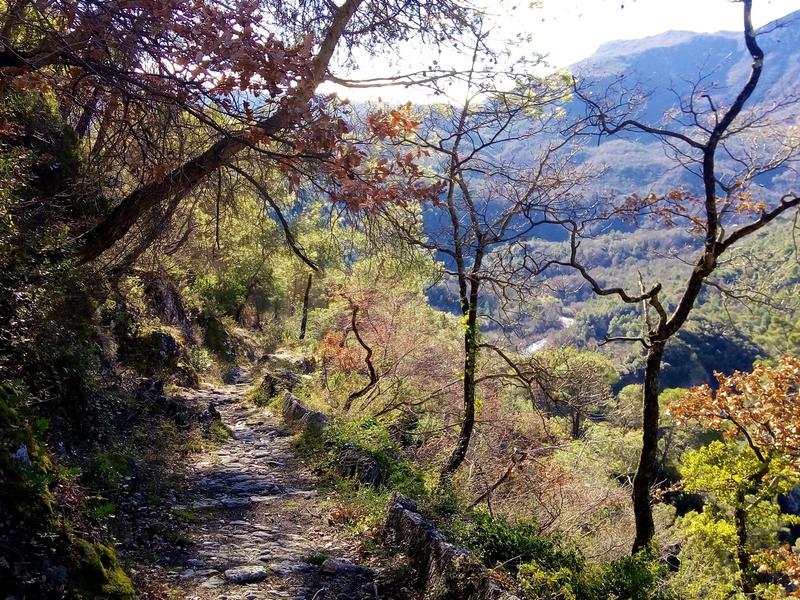 Parc des Préalpes d'Azur