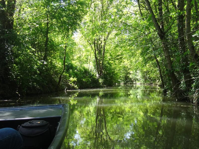 Balade en barque