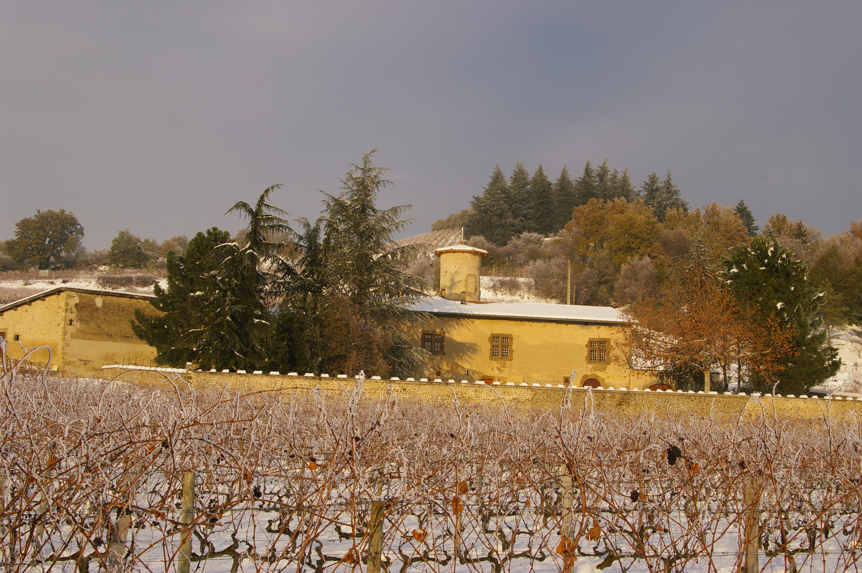 Le Domaine