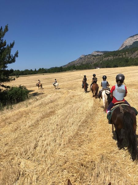Un été à poney - © Centre équestre Equiterra