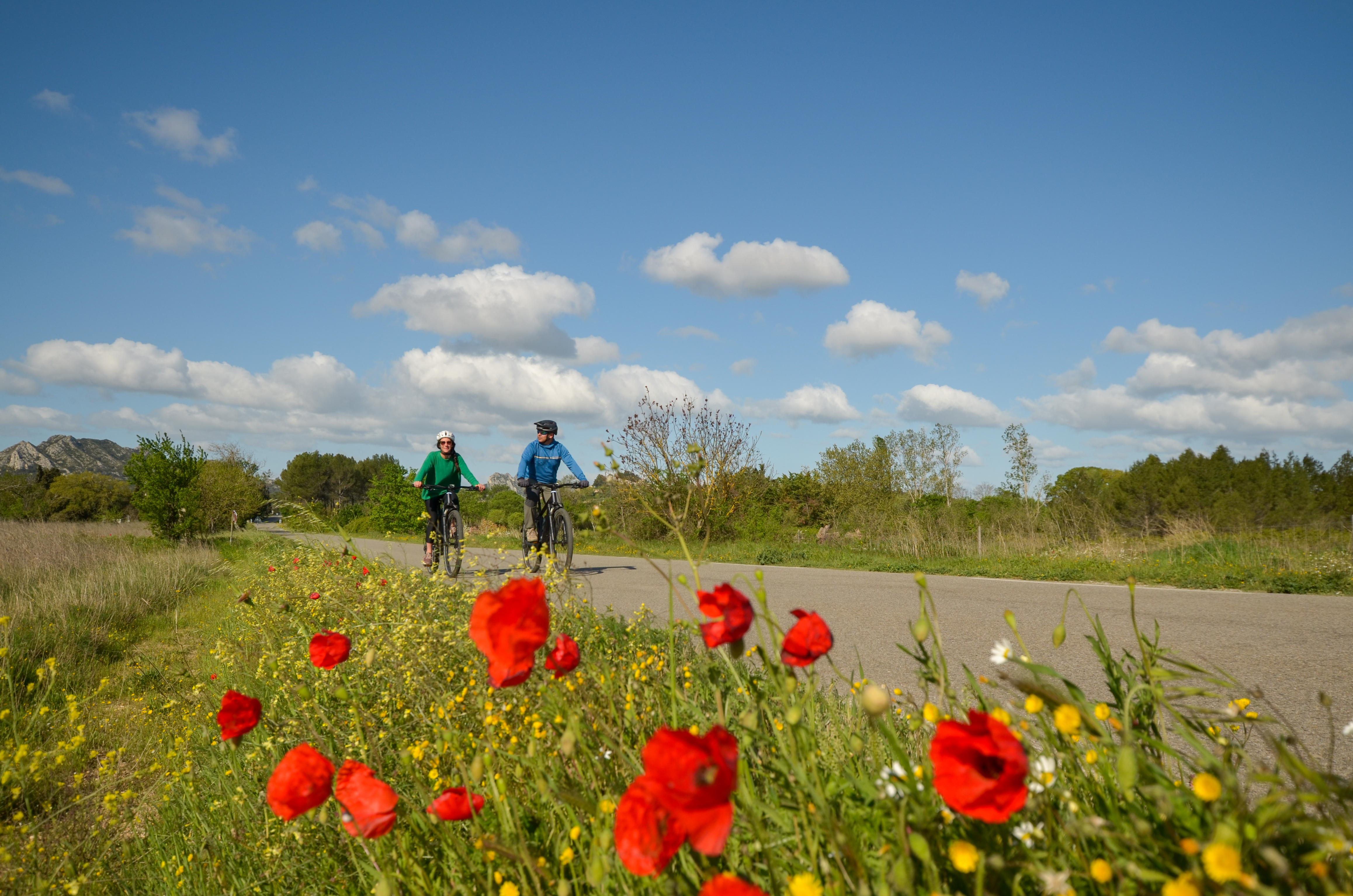 Balade à vélo : Les jardins de Mistral