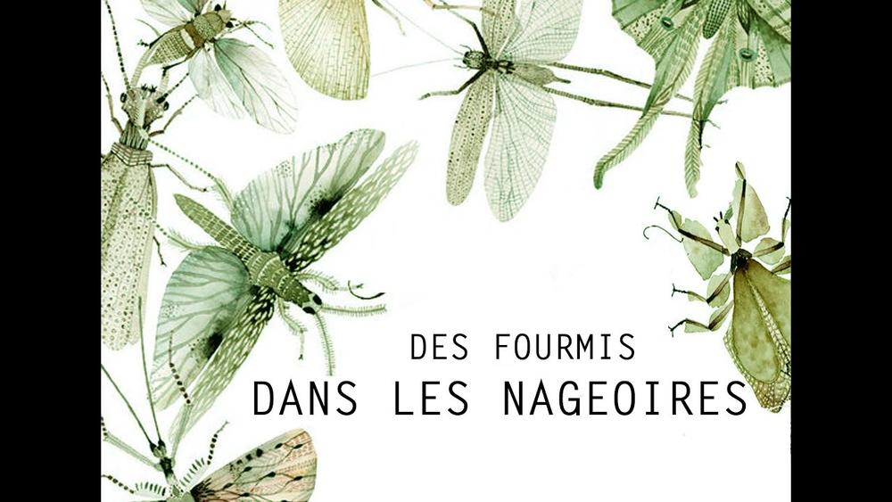 Spectacle petite enfance « Des fourmis dans les nageoirs », Cie La tête en l’herbe