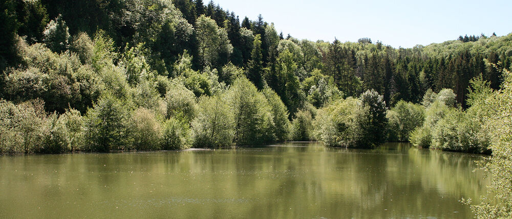 lac de la Broussonnié