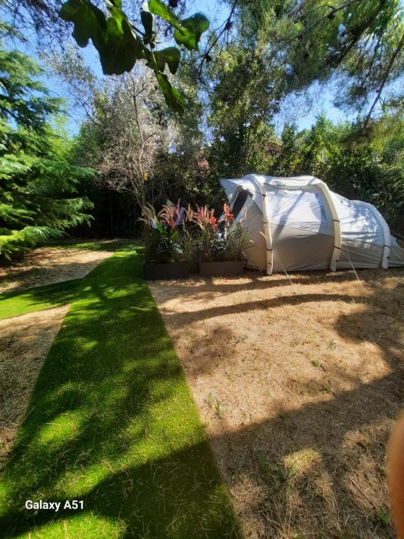 La Palmeraie, Istres - photo 8