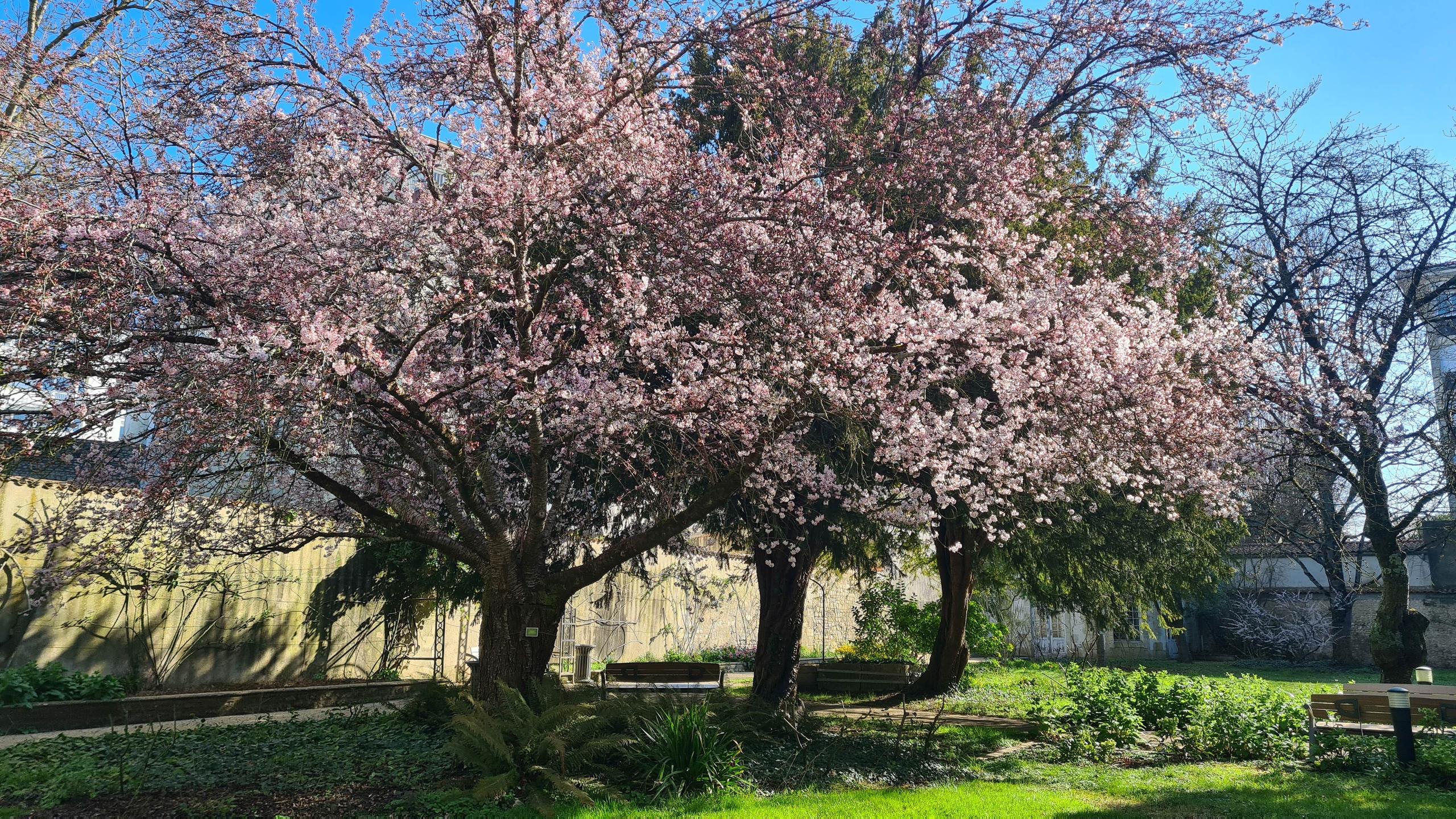 Animation - Balade paysagère - A la découverte du parc Charruyer