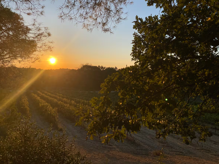Tiny House à la Ferme du Verdoulet_Mondragon
