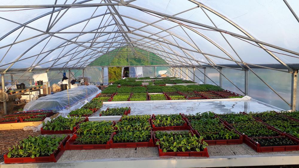 Graines d'avenir, producteurs des Balcons du Dauphiné