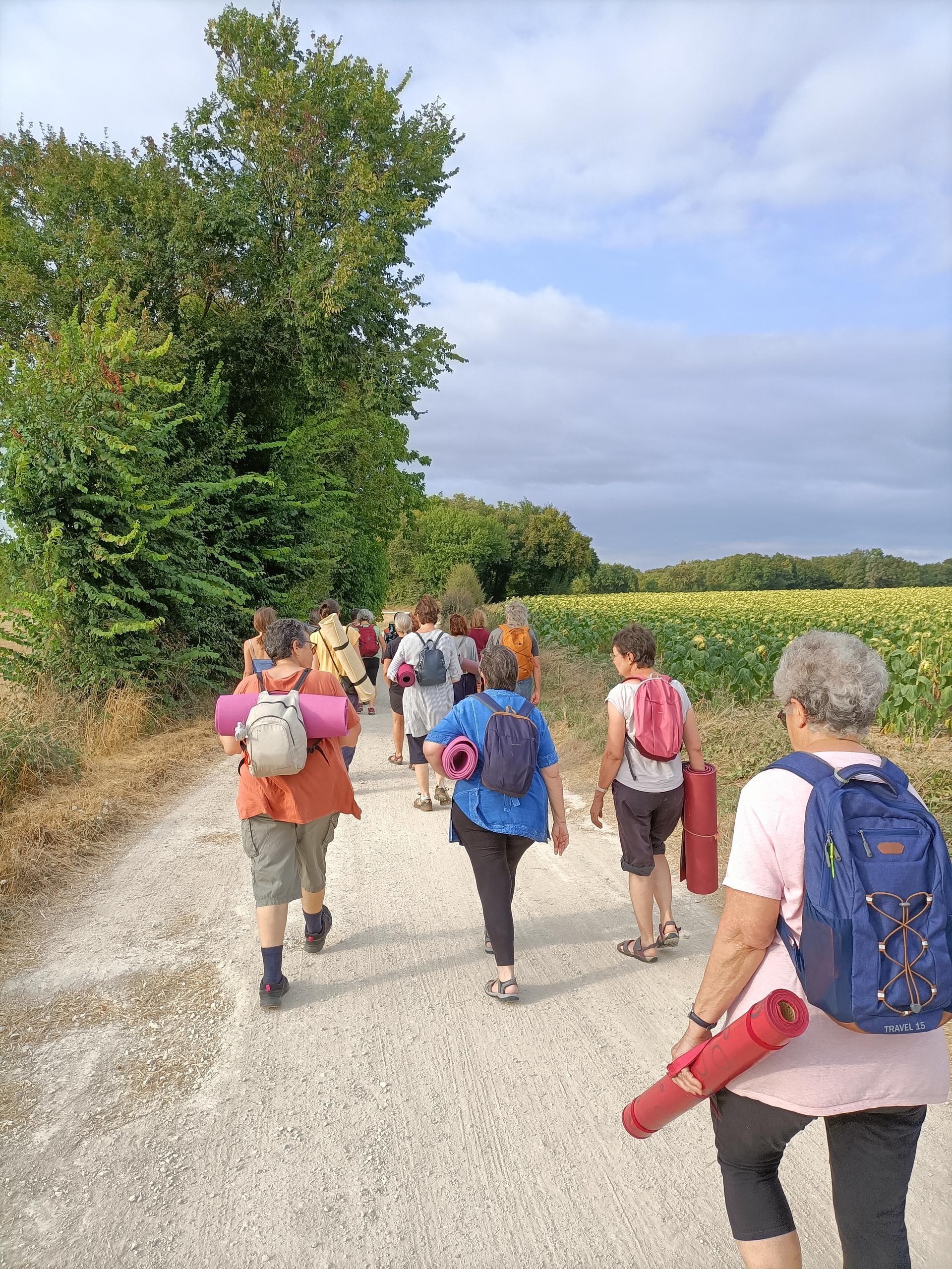 Randonnée "La Boixe, une forêt d'histoires"