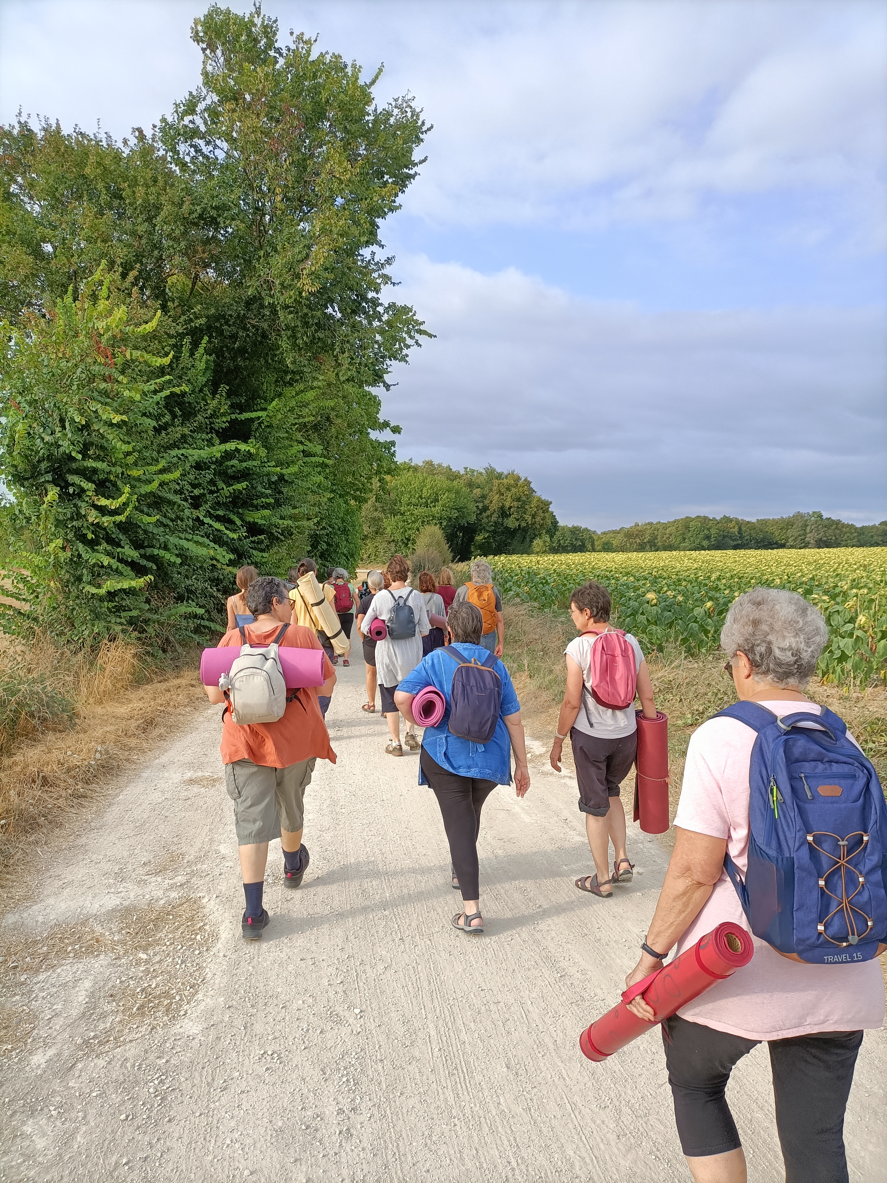 Randonnée "La Boixe, une forêt d'histoires"