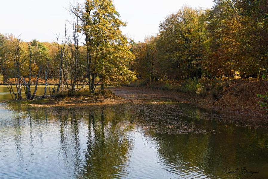 Etangs de pêche du Parc Naturel de Chambaran_Saint-Pierre-de-Bressieux