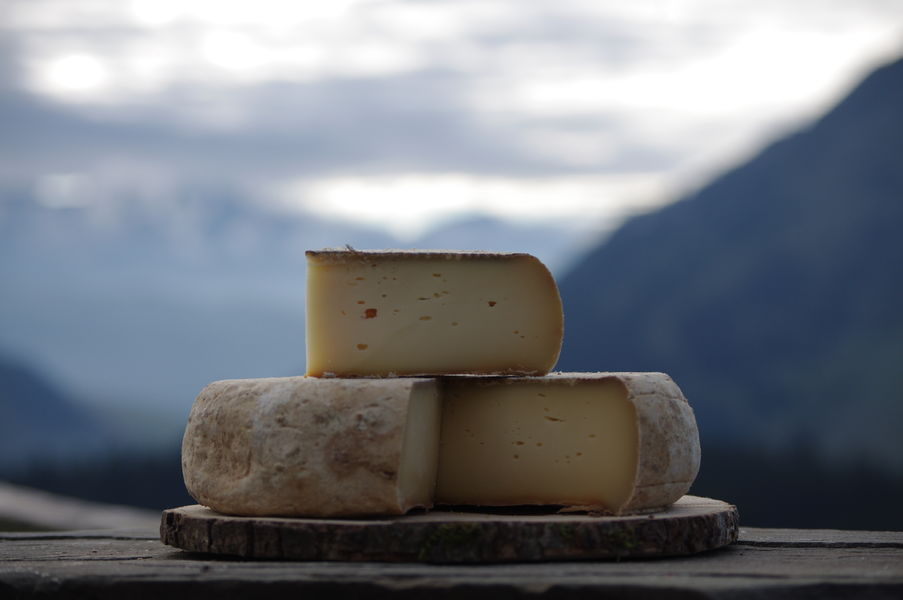 Tomme Fermière