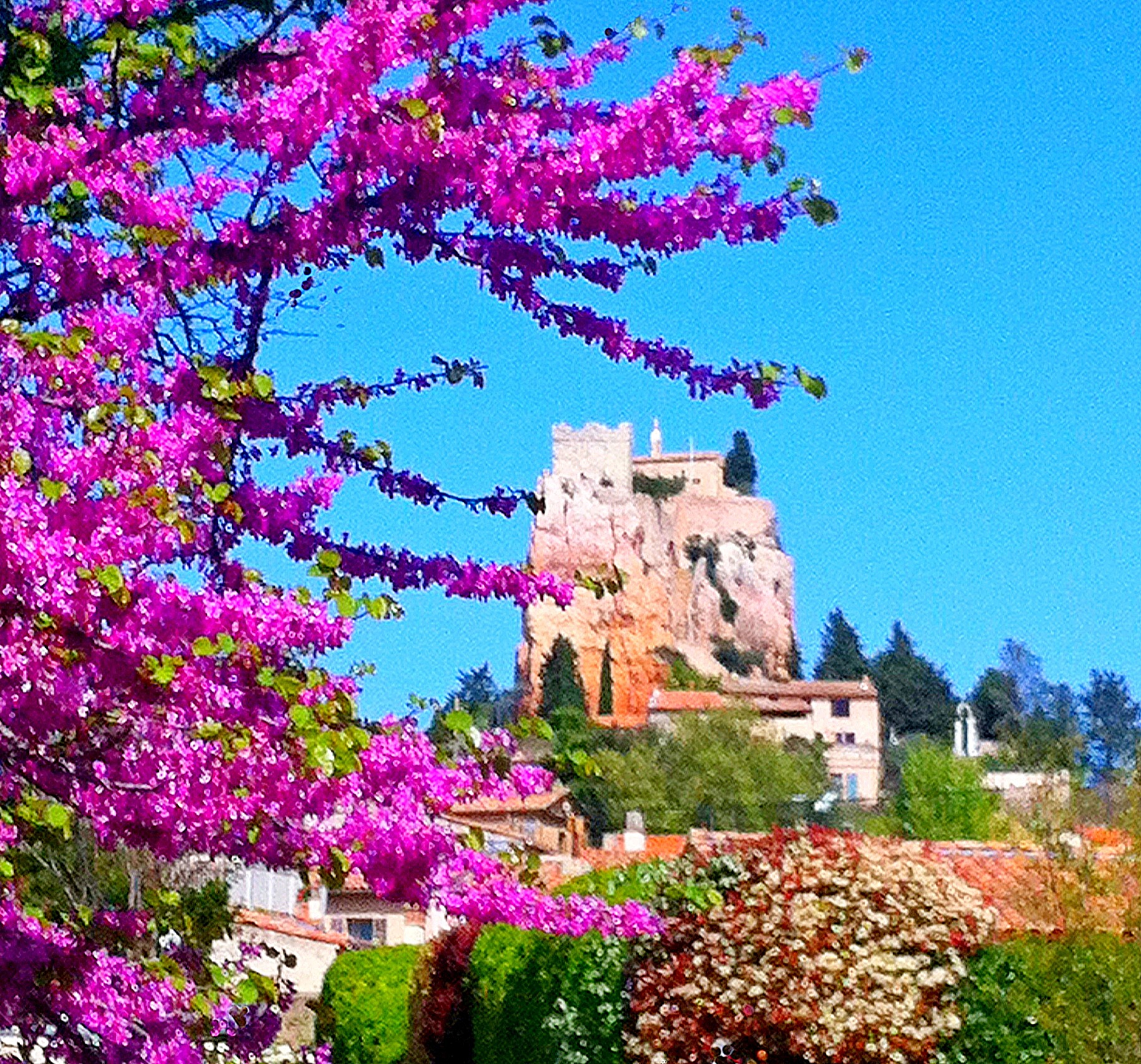 Le Rocher De Vitrolles, Vitrolles - photo 7