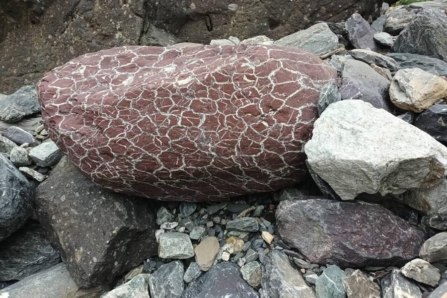 Atelier géologie pour tous : 'les roches parlent !'