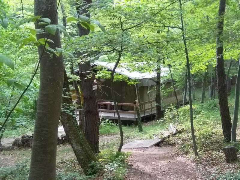 Tente sous bois 6 places