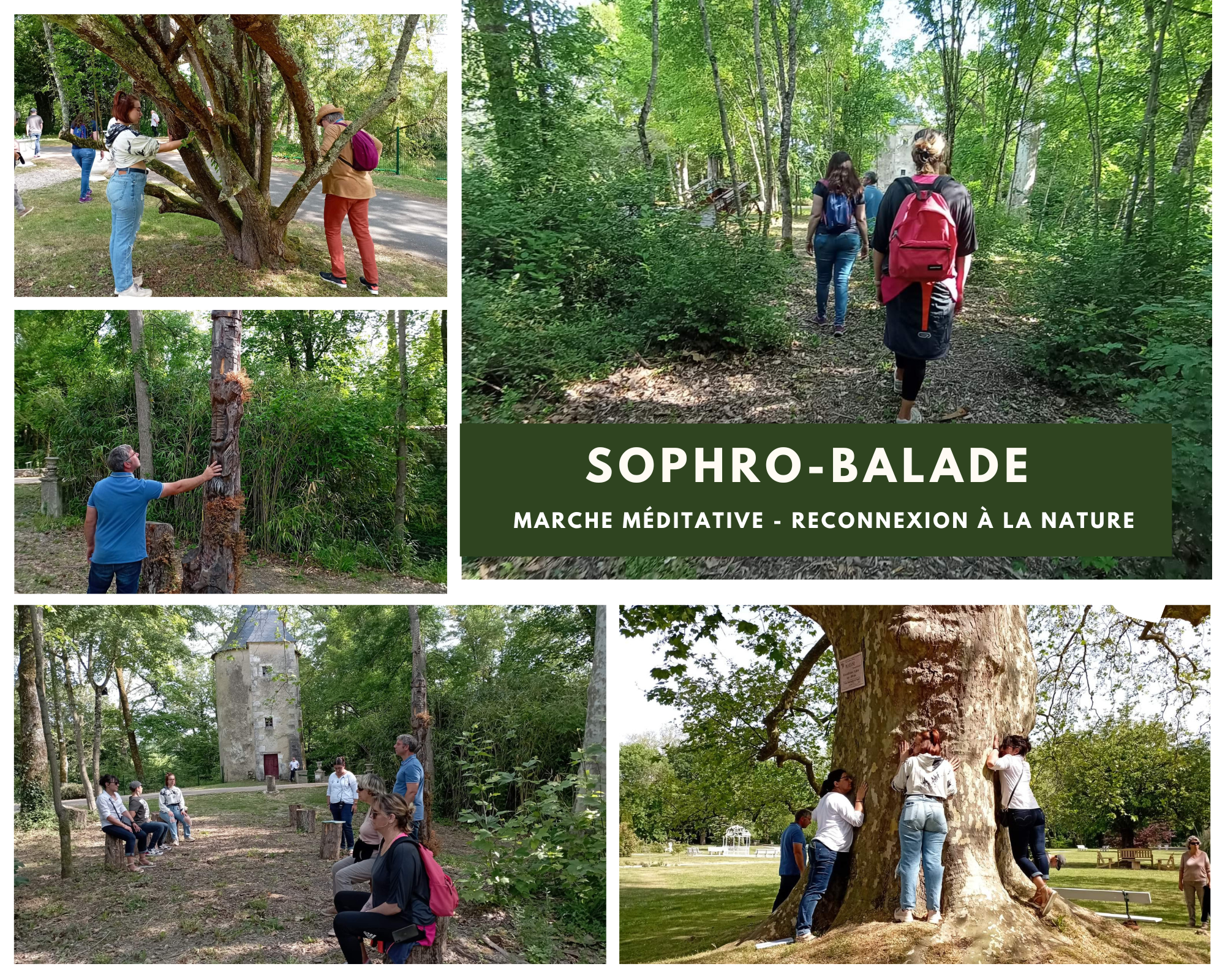 Sophro-Relaxation-Energie