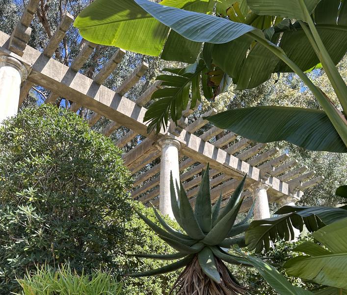 Domaine du Rayol, Le Jardin des Méditerranées_Rayol-Canadel Sur Mer