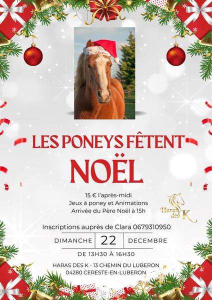 Les poneys fêtent noel Le 22 déc 2024