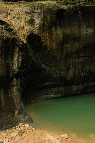 Circuit de randonnée Champagne en Valromey - La vie du loup