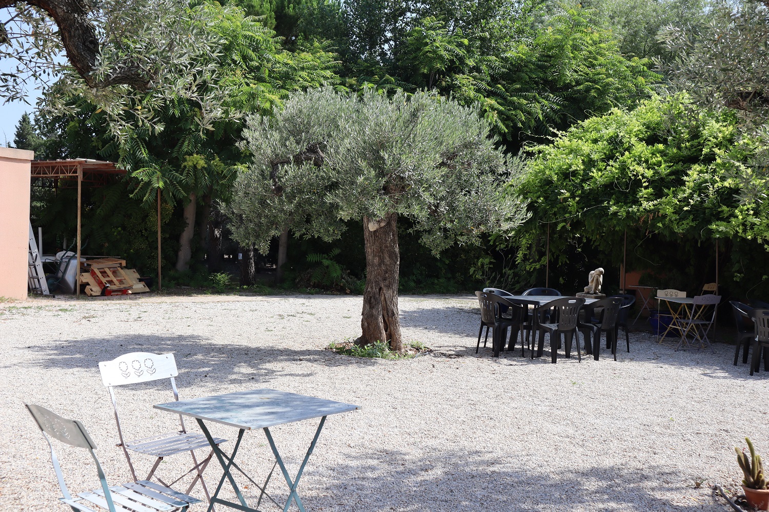 Les Micocouliers, Graveson - photo 9