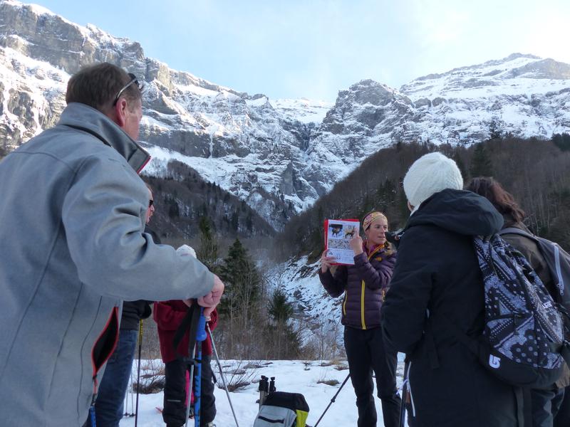 Sortie découverte -  la rencontre du mouflon_Samoëns