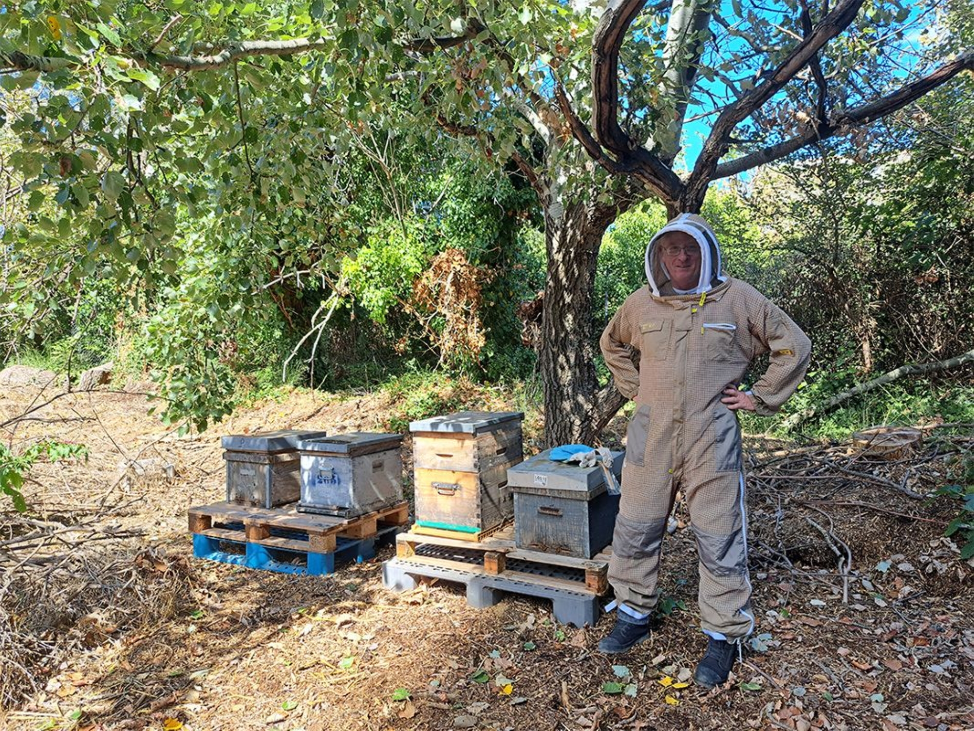 Compagnie des abeilles épicuriennes