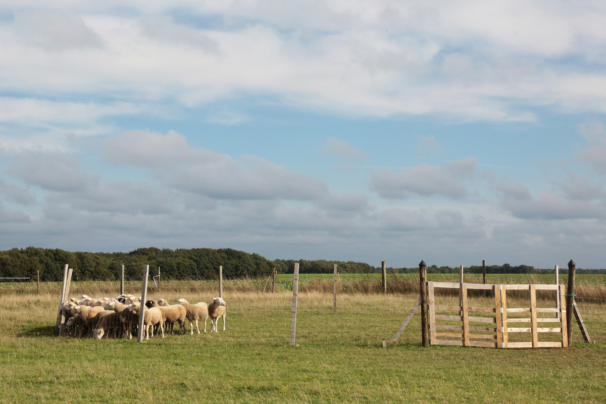La Ferme de Beaumont