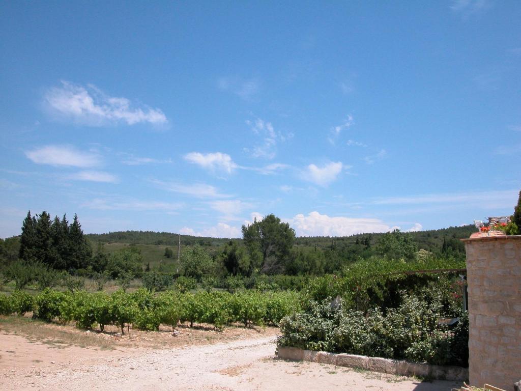 Sienne, Barbentane - photo 18