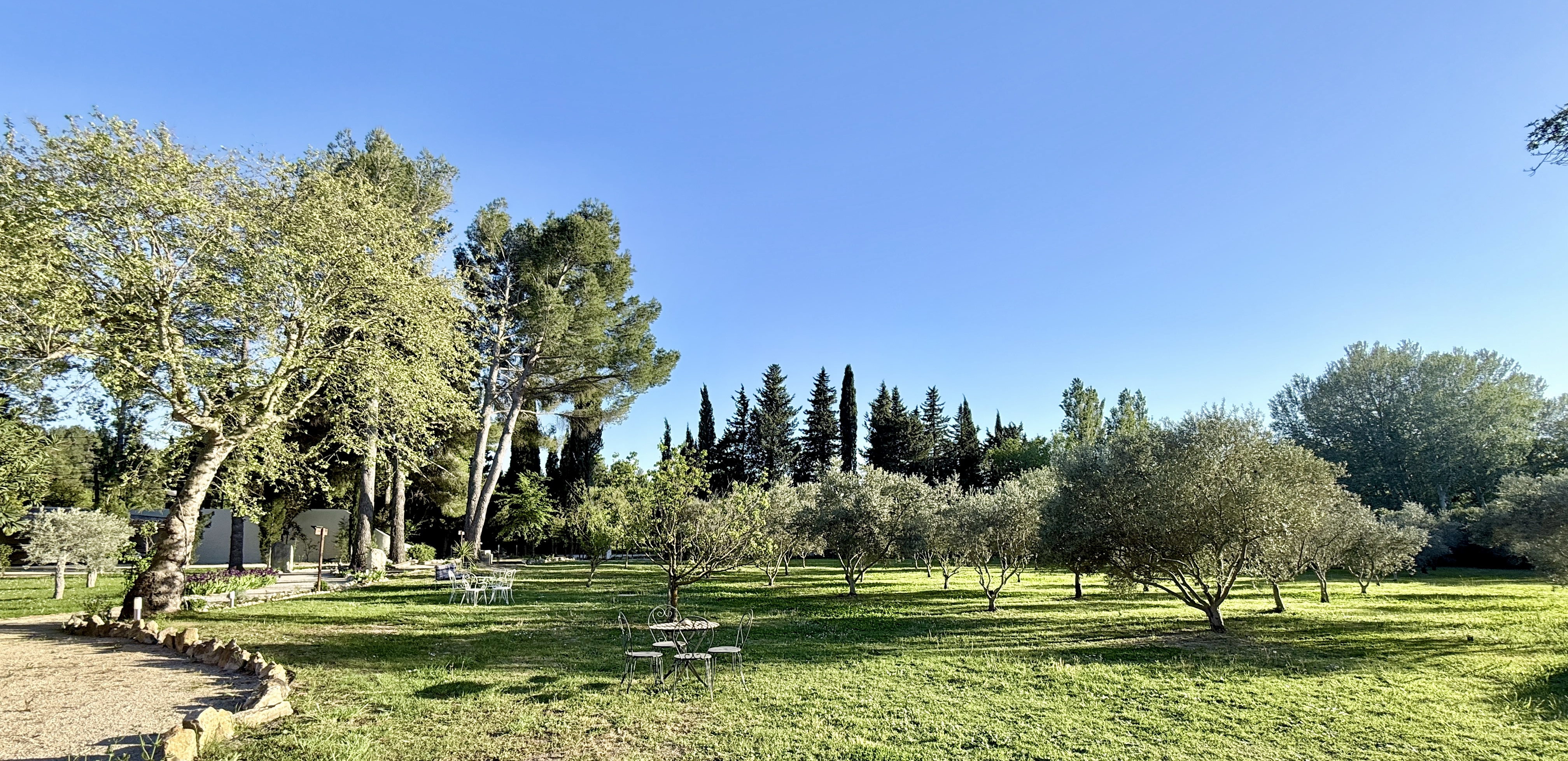 Domaine au Cœur des Alpilles, Maussane-les-Alpilles - photo 14