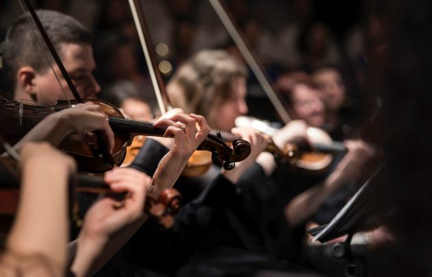 Image 17383_Orchestre-classique-avec-violonistes--630x405--©-Larisa-Birta-via-Unsplash