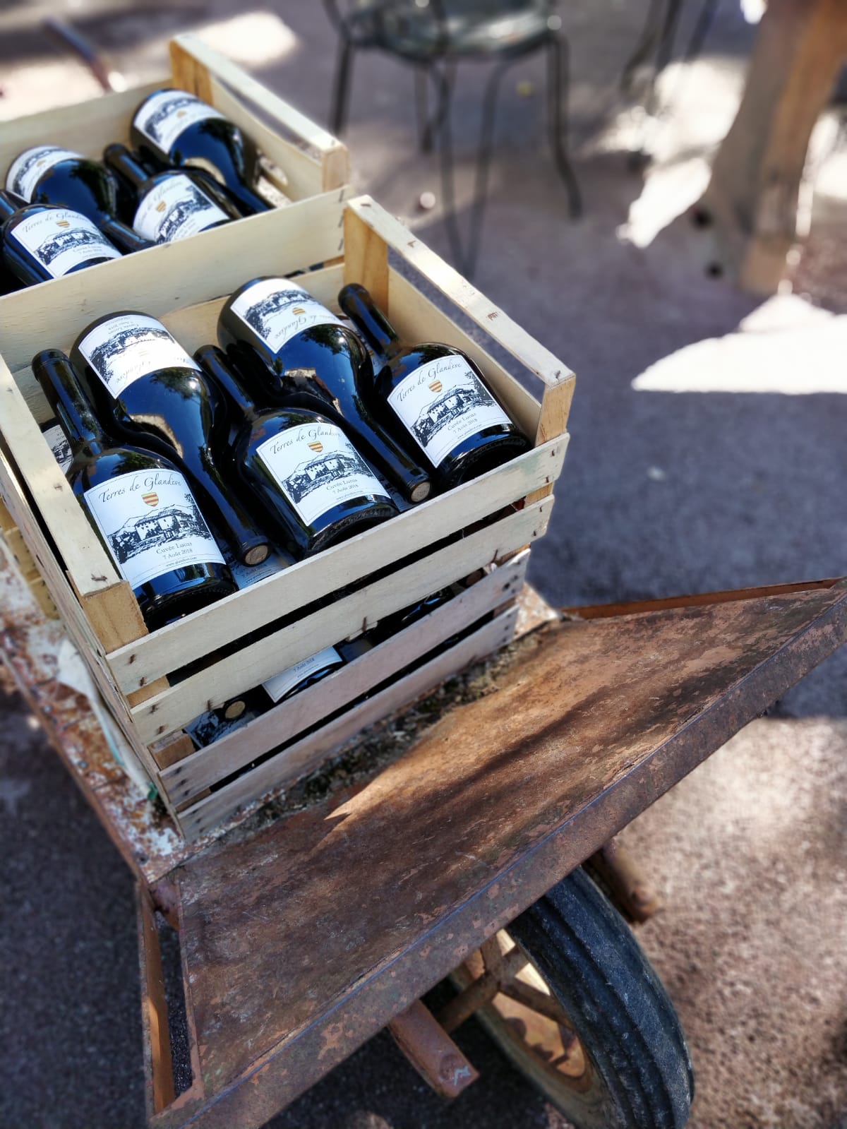 Dégustation de vin nature dans le vignoble